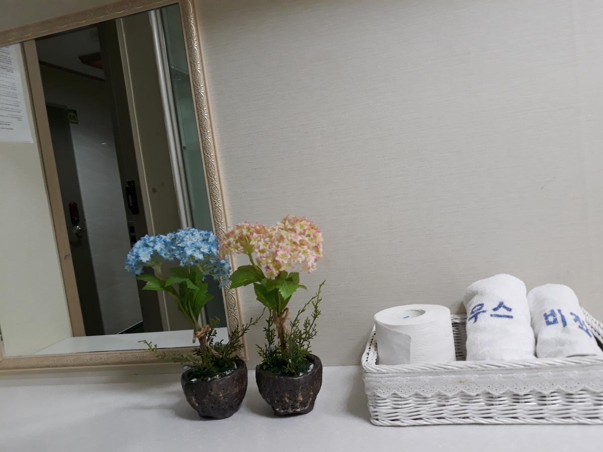 Vision Guesthouse โซล ภายนอก รูปภาพ